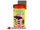 micro-flora-img.jpg