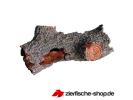 dennerle_nano_decor_crusta_tree_m_z1.jpg